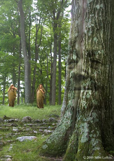 A tree with an old woman's face superimposed, with a stone labyrinth surrounding the base of the tree. In the background, robed and hooded figures stand in reverent postures in front of more trees.  
