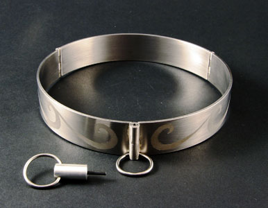 Stainless steel collar locked closed